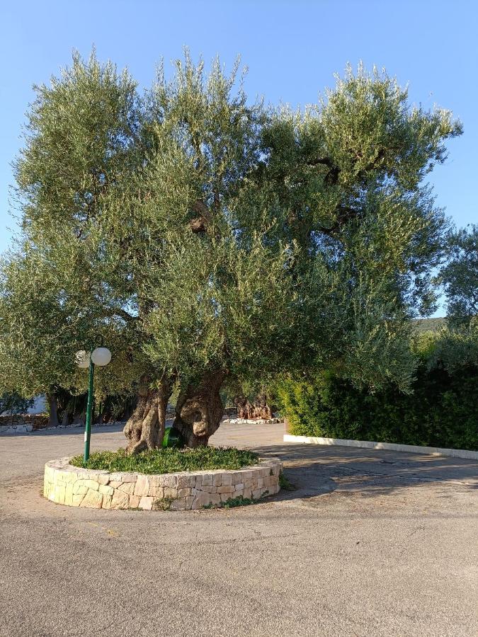 Masseria Galleppa By Apulia Hospitality Macchia di Monte Zewnętrze zdjęcie